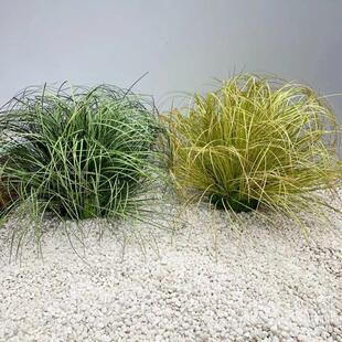 �����Ѳ��b[�����JȔ�ݼ��~�ݼٲ݅��zӰ���߲ݶ�ݶѾGֲ�쾰