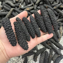 米刺参黑刺参土耳其海参无刺参乌爪参希腊海参秃参淡干海参干货