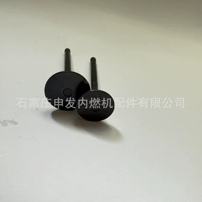 exhaust valve 1371554040 – Valves and components