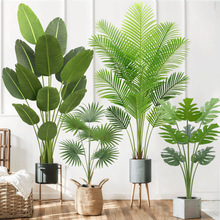 �߶��p�ݷ������˽��Gֲ���Կ͏d��ط��������Bֲ��٘��b[��