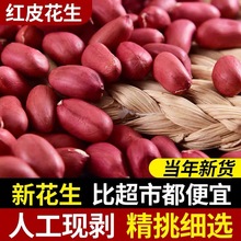 农家新鲜5斤当季红皮花生米榨油颗颗饱满醇香美味人工挑选250g