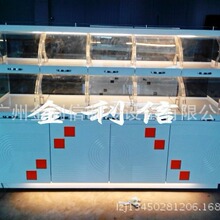 �����������߅�u���決�O��u������չʾ��