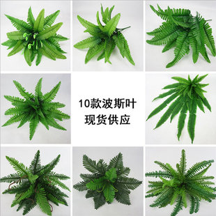 ��˹�쾰ާ�С�������~ֲ���c�bGֲ������ϱڒ�߷���