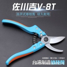 �������޻������޴�֦��@ˇ������@�ֹ��߾G���������_ʽ��֦��