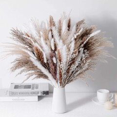 Amazon パンパスグラス 小さなリード ウサギの尾草 フェザーブラシ 小さなリード ホームデコレーション ミックスアンドマッチ クロスボーダー ドライフラワー ブーケ