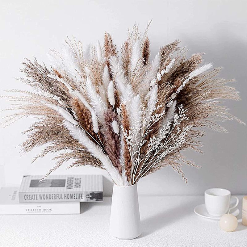 Amazon Pampas Grass Small Reed Rabbit Tail Grass Dusting Small Reed Home Decoration Mix and Match Cross-Border Dried Flower Bouquet