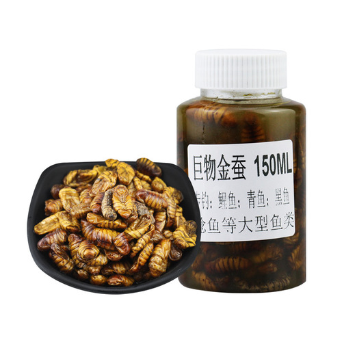 Silkworm chrysalis bait, live bait soaked in Chinese medicine to attract fish, herring, carp, grass carp, wild fishing giant bait
