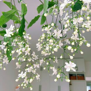 ̩�����z�������Դ��玧�����k���҃Ⱥ��B�L܇�̨����