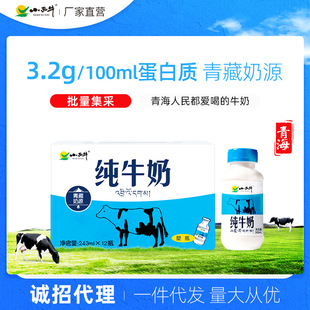 ����С��ţ �ຣ��ţ�̃�ͯ�ЋD�I�B��ԭ������243mlx12ƿ