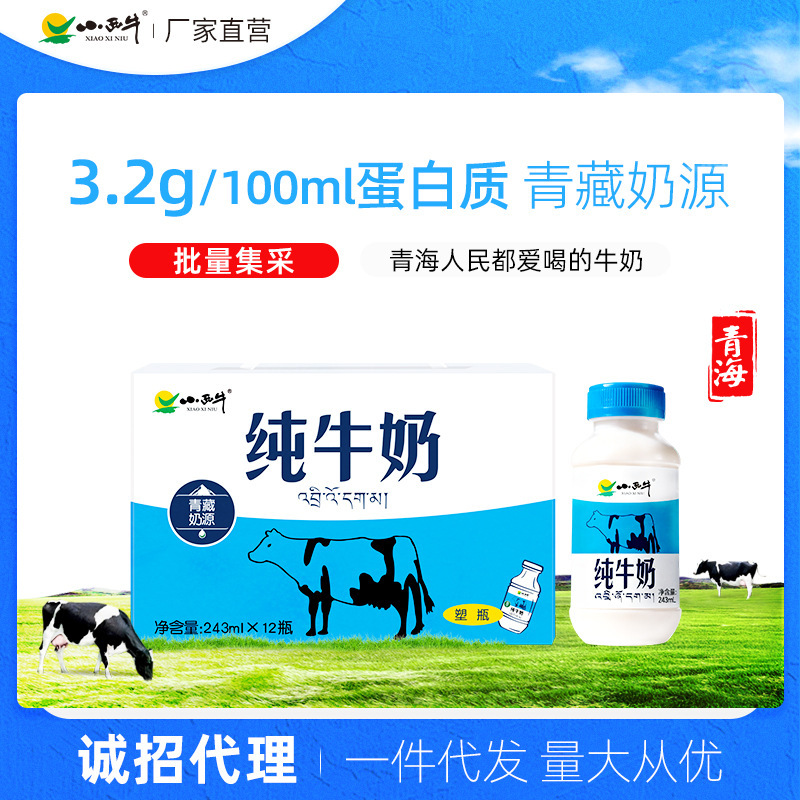 Guangming Xiaoxi Niu Qinghai Pure Milk for Kidsren and Pregnant Women Nutritional Plateau Milk Whole Box 243Mlx12 Bottles Guangming Xiaoxi Niu Qinghai Pure Milk for Kidsren and Pregnant Women Nutritional Plateau Milk Whole Box 243Mlx12 Bottles