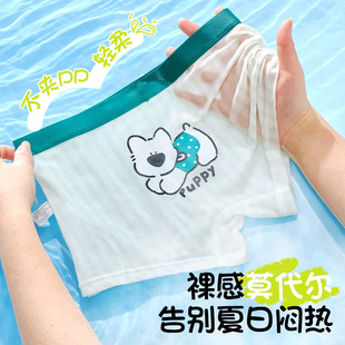 Children's Underwear Boys' Summer Ice Silk Class A Modal Teenagers Middle and Big Children Boys' Baby Boxer Boxers
