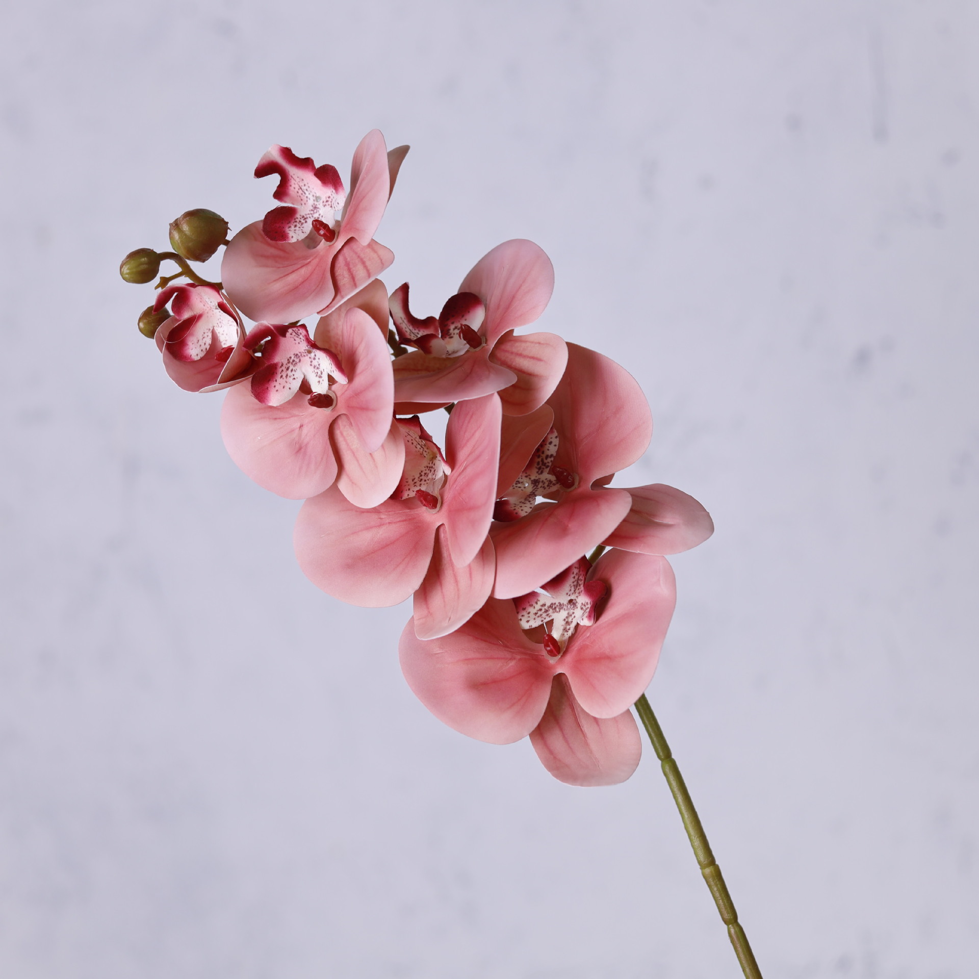 Impresión 3D de 7 cabezas de orquídeas mariposa flor de decoración de flores de alto nivel flor de nicho decoración floral decoración de sala de estar