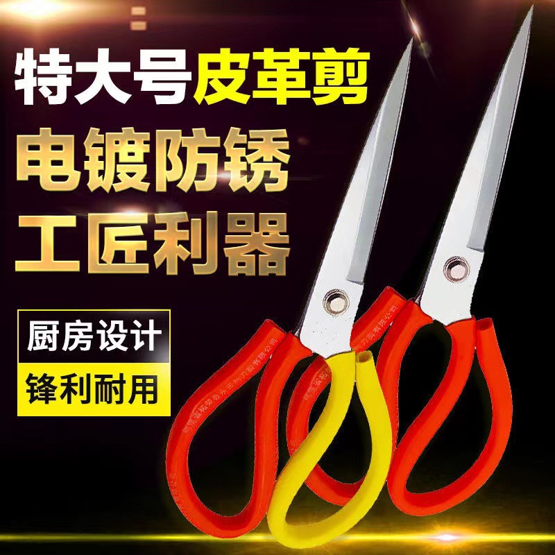 微信图片_202412061120322