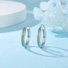 澳宝镶嵌银耳圈 双圈设计 潮流耳饰 925 银饰品 跨境供货厂家定制