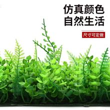 ֲwGֲ̨҃T^bƺ滨