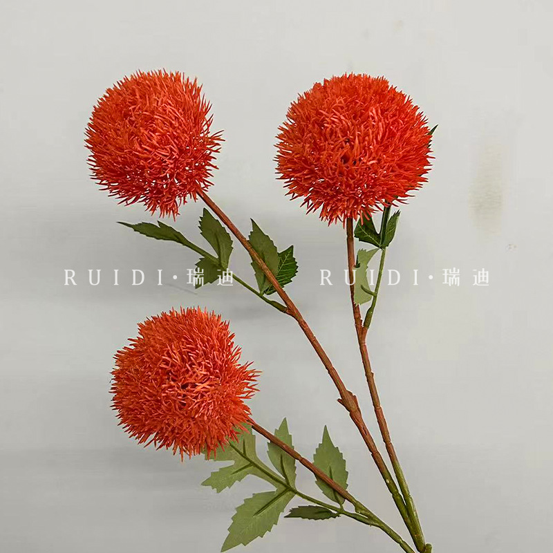 주황색—XYSTSG