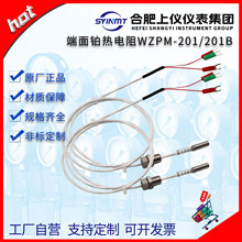 σxpt100늙CSR_̽^WZPM201/201BضȂM8