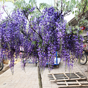 һ�����l�໨���ٻ��������ٱ�����ֲ���{�����������٘��辰����