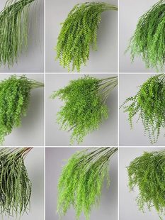 �Gֲ�J������횲ݻ�Y������ˇ�����쾰�׾Gɭϵ��c�b廨