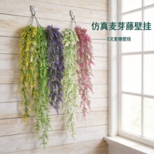 ������ѿ�ݱڒ�ٻ�ֲ�����컨�����滨�b��÷���Gֲ�ٗl