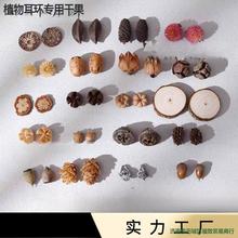 ֲhȻɹϹ϶ςԄС