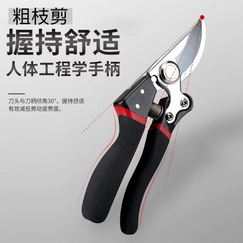 活动仅一天 直播间下单有赠品】花剪园艺剪修枝剪刀省力果树盆景