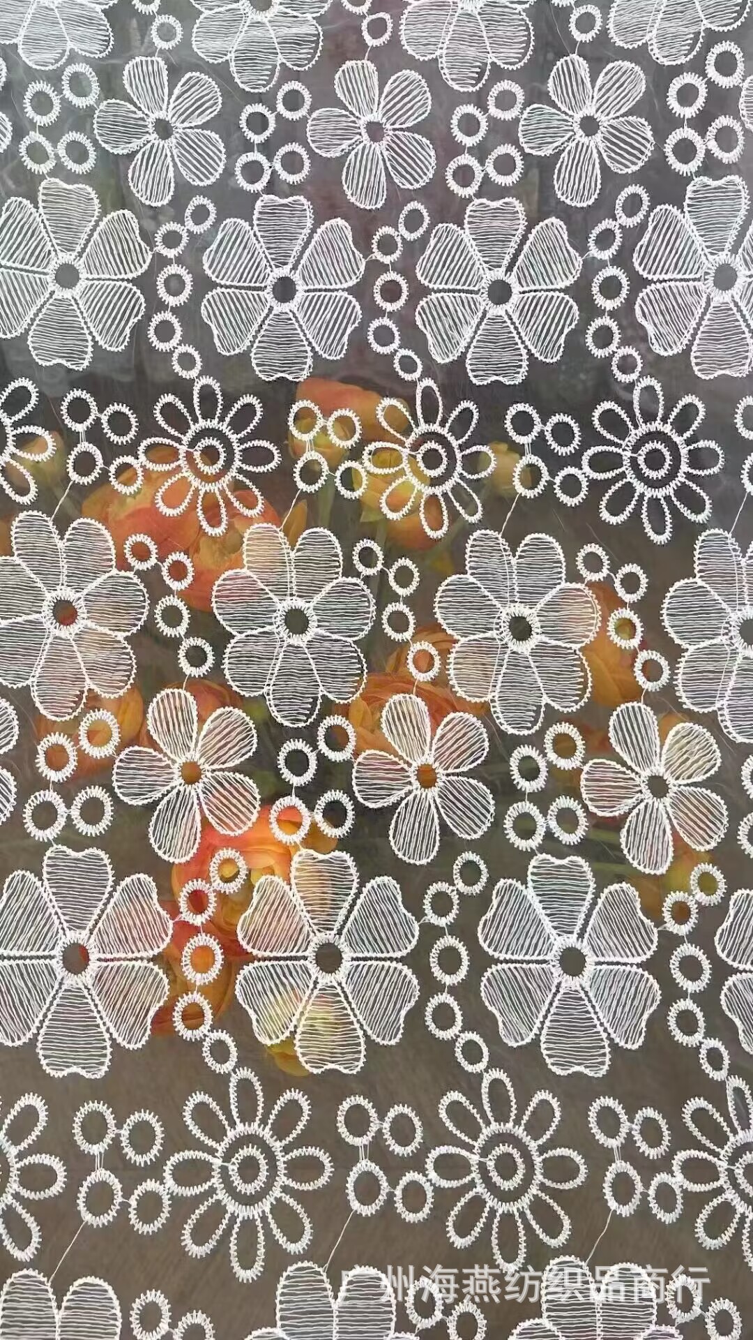 7D0C58A7167F20A32AEF6CED0189A5