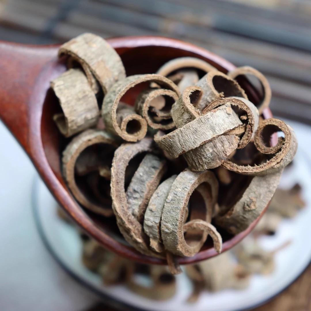 Magnolia Bark Hou Po 厚朴 Dried Herbal Slices 100g Bottle Traditional TCM Decoction Herb overview