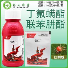 �������S��t40%�����\�����������ټt֩�뚢�x���\��