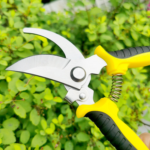 Multi-purpose pruning shears for gardening, landscaping, and orchards—ideal for trimming branches, cutting fruit-bearing twigs, and neatly shaping potted plants or harvesting fruits from the garden.
