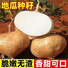 �����N�����Rɽ�عϷN���緬���N���׻�ˮ��ɳ����������߲˷N��