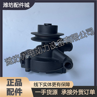Weifang Weichai Carter ZH4105ZD Generator Set Hongtai Diesel Engine One Forklift Loader Water Pump