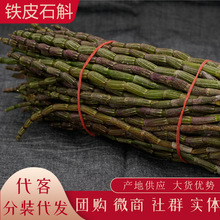 云南新鲜石斛 铁皮石斛榨汁 生鲜石斛条批发产地货源代发大货供销
