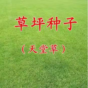 ���òݷN�� �Ͱ��Ͳ�ƺ�� ���`̤��С�^���@ͥԺ�G�����Ѳ�ƺ�N��