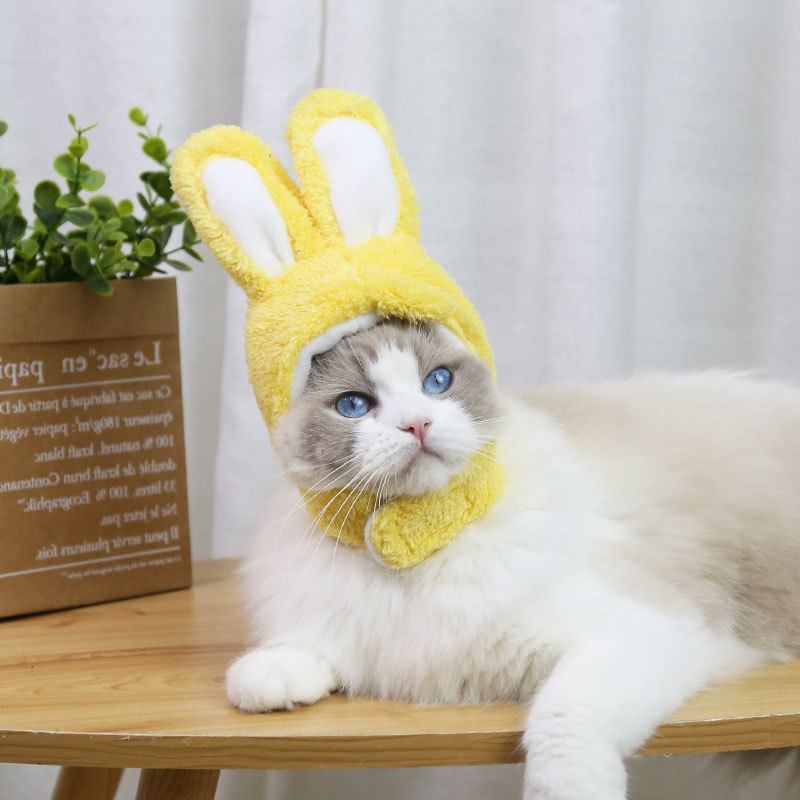 Gato coelho animal de estimação pequeno e médio porte cachorro ursinho de pelúcia chapéu chapéu acessórios para cabeça_voghion.com