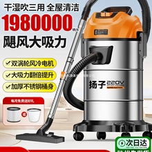 扬子工业吸尘器家用大吸力车用大功率保洁装修美缝吸尘机A
