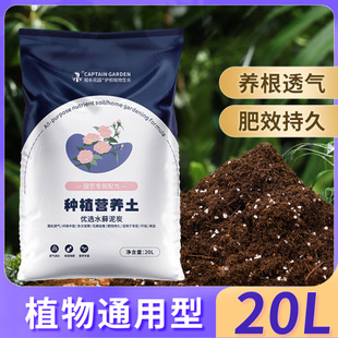 �I�B��ֲ��ͨ��������͸������B���N�˷Nֲ���ЙC��̿��̿�����|