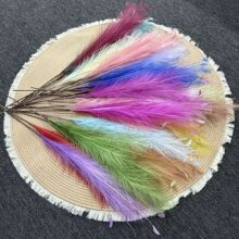 7���ȸ����ë���柟�������b��՟������滨�JȔ��ë�����b�