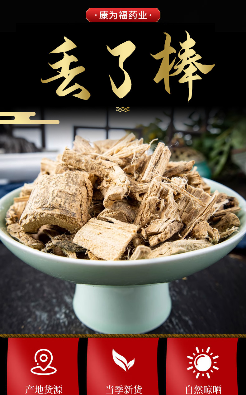 Diu Liao Bang Root (Claoxylon indicum) — Dried TCM Herb for Wind-Damp Formulas overview