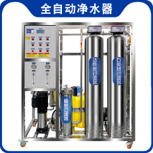 0.25吨定制净水器ro反渗透软化水纯水处理设备机械节能高效工业水