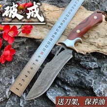 破将大马士革钢龙骨一体小直刀高硬度多功能户外刀锋利收藏水果刀