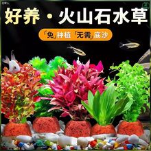 ����ˮ�|�����B�~�쾰�������ˮ��ֲ���~��ˮ�����ˮ�ݾG��