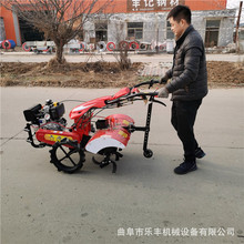 �¿�΢���C  LF-60�����_�������C ɽ��С���ַ������C