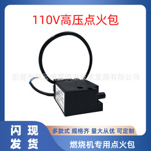 点火包变压器 燃烧机锅炉柴油甲醇气体专配高压包110V220V高功率