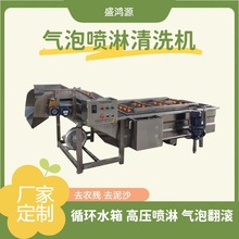 商用果蔬气泡清洗机 全自动喷淋洗菜洗肉机 净菜预制菜加工设备