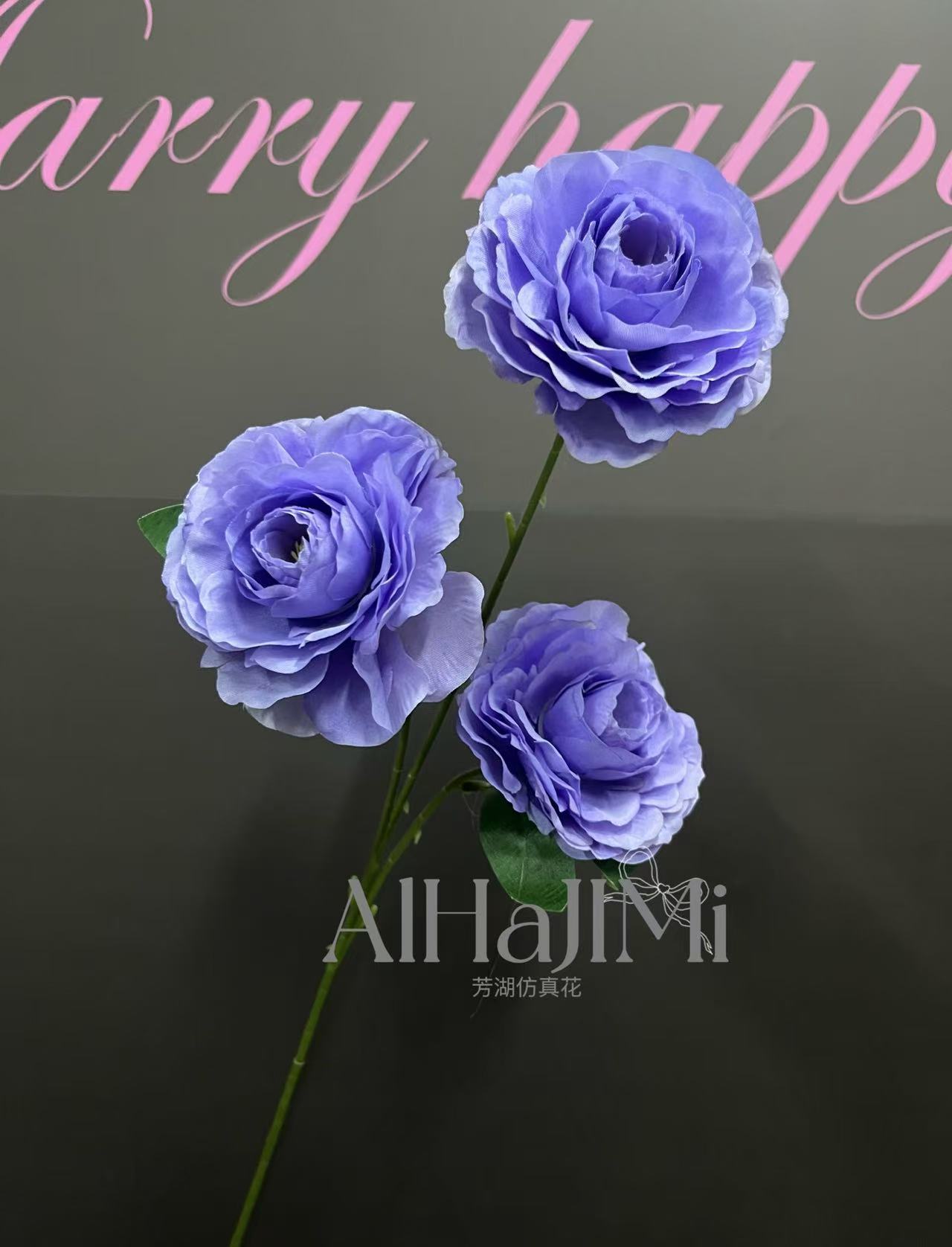 微信图片_20250218094424