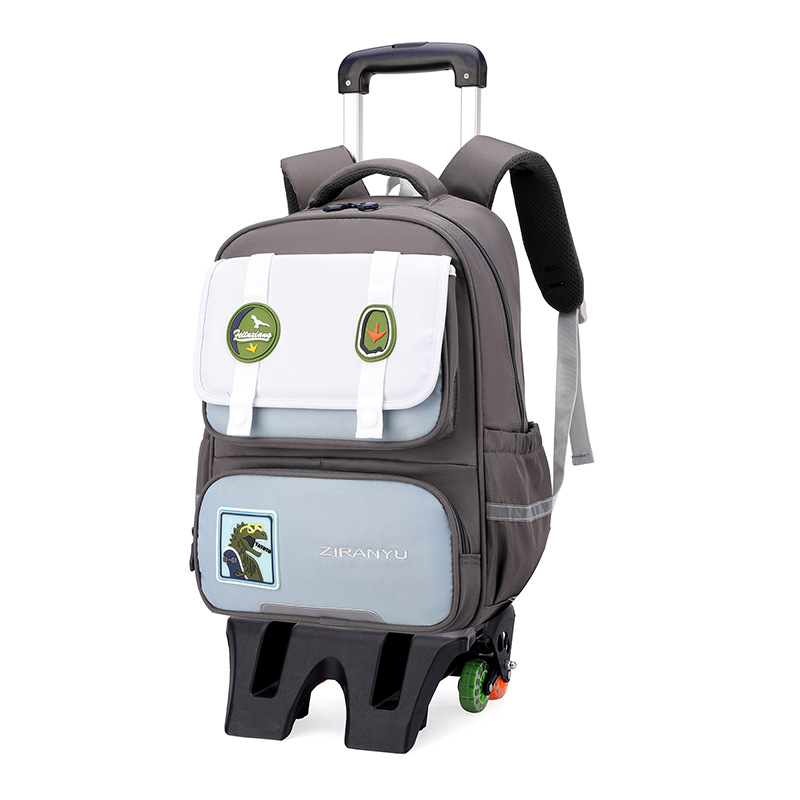 Nuevo pez natural para estudiantes de primaria, estudiantes de secundaria, bolsas de seis ruedas, escaleras de grado 234, niñas