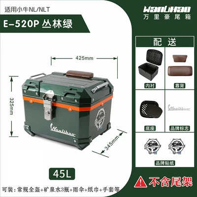 Motorcycle trunk, Maverick NLT electric vehicle motorcycle - xiaoniu-nltnl-jungle-green-520p-double-brown-backrest-lining
