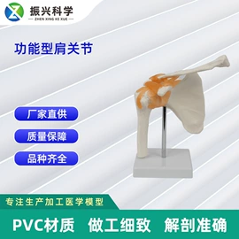 医药教学器材;教学演示用品