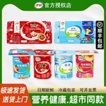 酸奶八连杯原味发酵乳莓黄桃味酸牛奶低温红枣奶杯装早餐奶